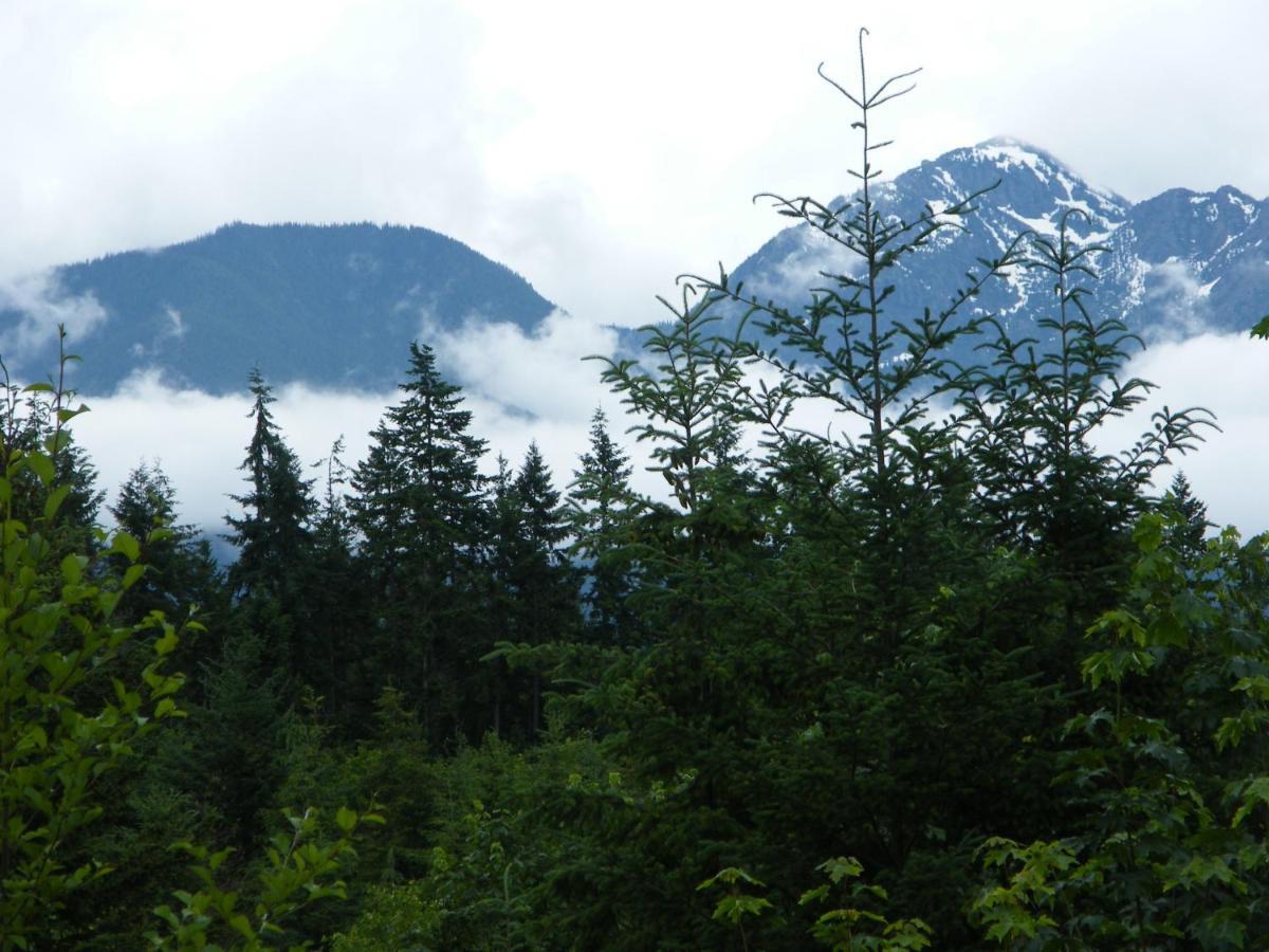 Rooster Hill Guest House Port Angeles Exteriör bild